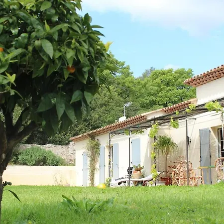 Villa Des Palmiers