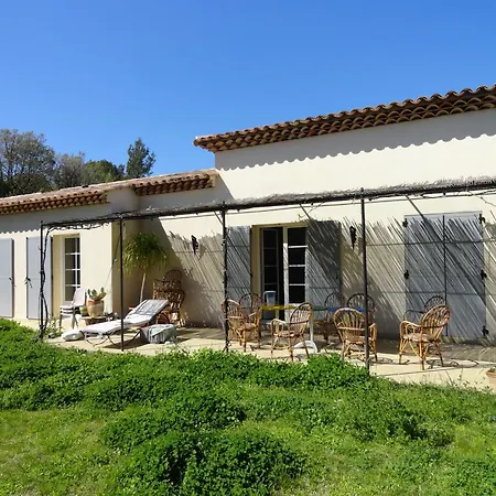 Des Palmiers Villa *